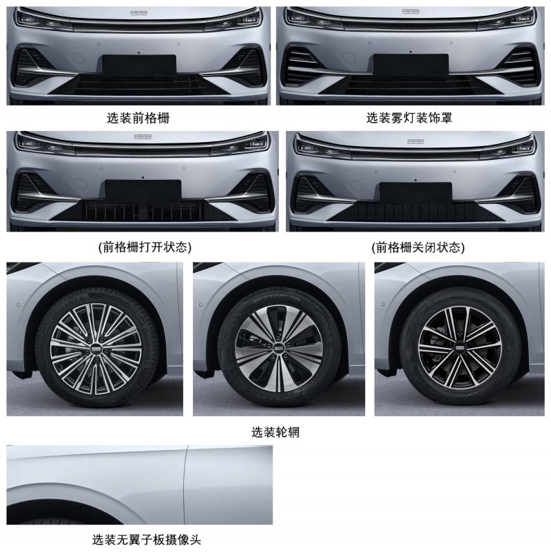 仅葬马头不葬马身 叶县楚墓葬俗奇异