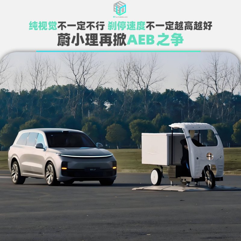 仅葬马头不葬马身 叶县楚墓葬俗奇异