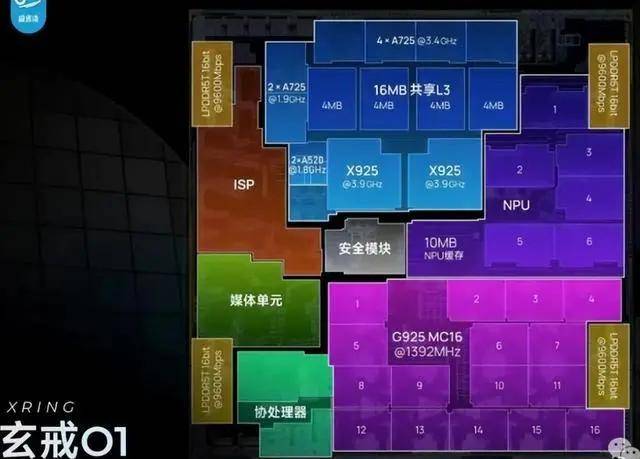 信阳春茶开采啦！小小毛尖茶，富了村美了乡